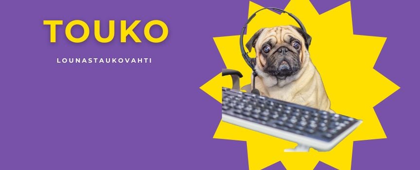 touko toimistokoira