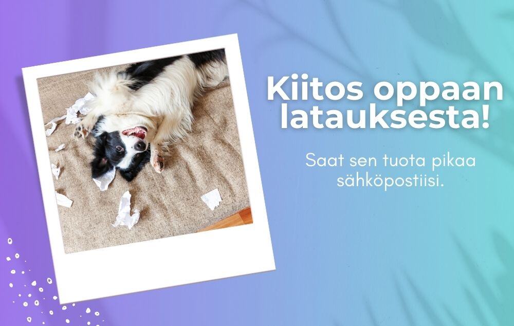 Kiitos oppaan latauksesta!