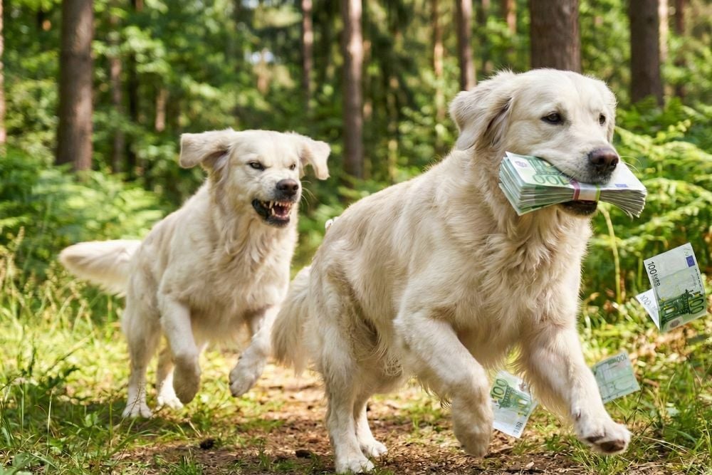 miten perintä etenee